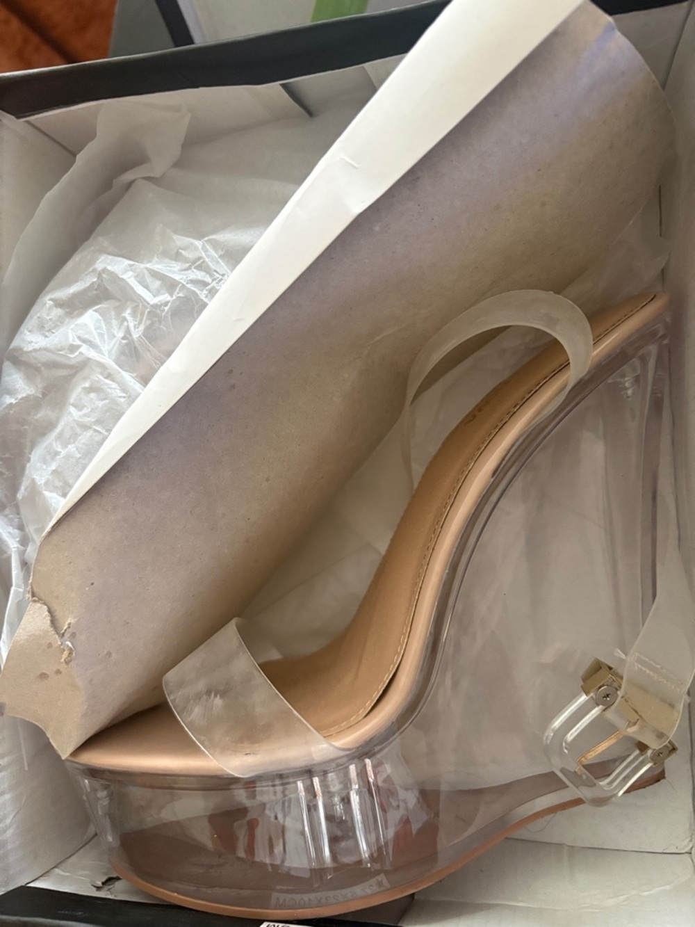 Fashion Nova Nude Clear Platform Wedge Sandal